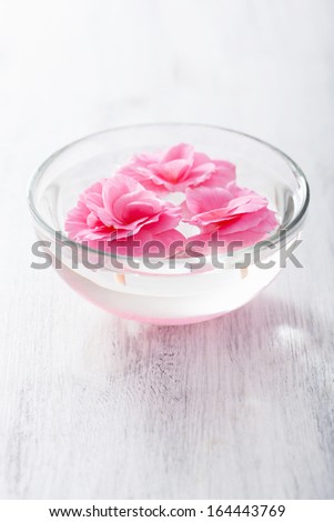 begonia flowers in bowl