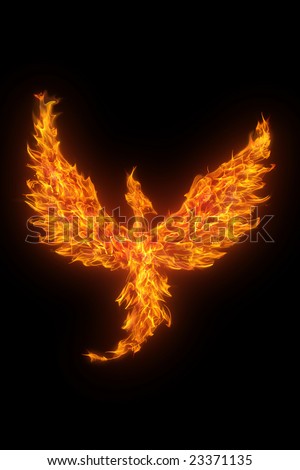 stock photo burning phoenix isolated over black background