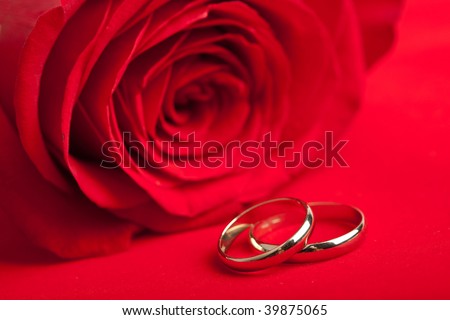 stock photo Gold wedding rings and red rose