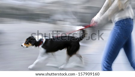 Guide dog is helping bilnd people in motion blur