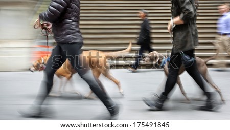 Walking The Dog On The Street In Motion Blur