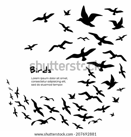 Silhouettes of flying birds, vector illustration.