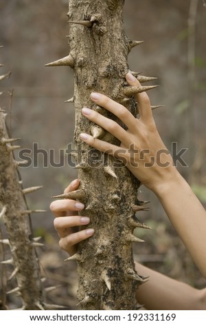 Female hands hugging a spiny tree trunk closeup