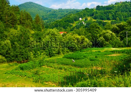 LUKAVAC, BIH - JULY 04, 2015: View and countryside, with a farmer, along the M18 road in the Republika Srpska, Bosnia and Herzegovina