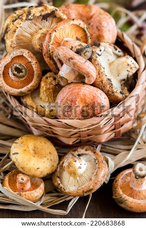 Saffron milk cap and Red pine mushrooms on a wooden table