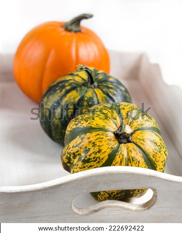 Pumpkins in a shabby chic tray on a white shabby table