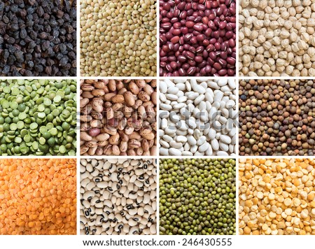 Collage of 12 different legumes - lentils, beans and peas