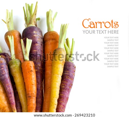 Fresh organic rainbow carrots  isolated on white