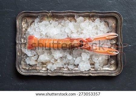 Raw langoustine on ice on a silver tray over dark background top view