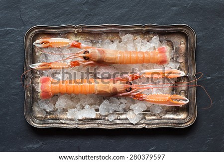 Raw langoustines on ice on a silver tray over dark background top view