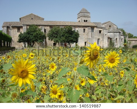 View of sunflowers over to the asylum in St Remy where Van Gogh stayed and painted