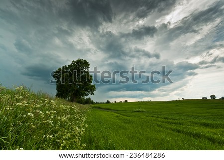 Storm on green field