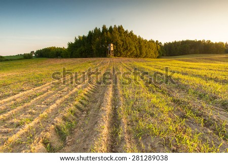 Hunting pulpit on spring fields and blue sky