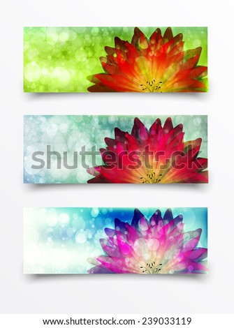 Watercolor background. Flower with bright red and pink flowers. Spring theme. A set of cards. Beautiful blurred watercolor background for your design.