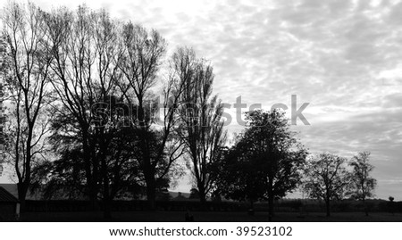 Lonely and dark scene of trees against the sky in black and white