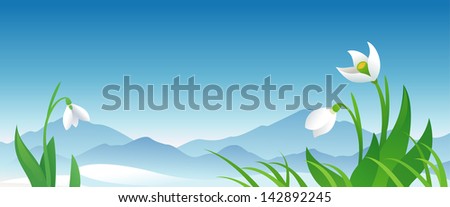 Vector spring banner with snowdrops