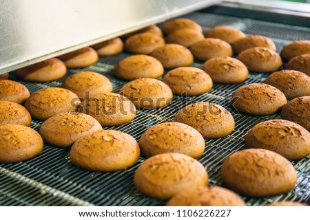 Cakes on automatic conveyor belt or line, process of baking in confectionery factory. Food industry, cookie production. Close up
