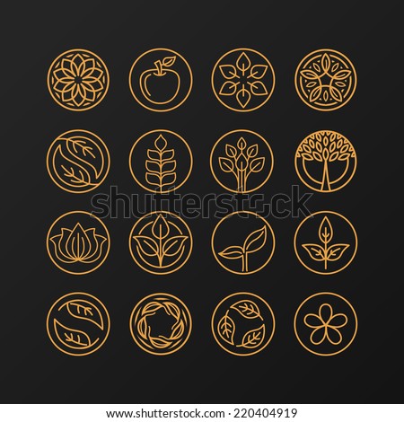 Vector abstract emblem - outline monogram - nature symbols - concept for organic shop - set of abstract design element- logo design template