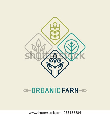 Vector agriculture and organic farm line logo - design elements and badge for food industry