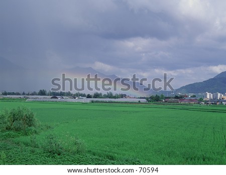 Field green grass blue sky cloud cloudy landscape background rainbow