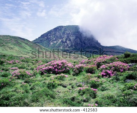 mountain, air, green, countryside, snow, landscape sky, cloud, fresh, open, peaceful, rural, weather,  wild, green, tree, flower