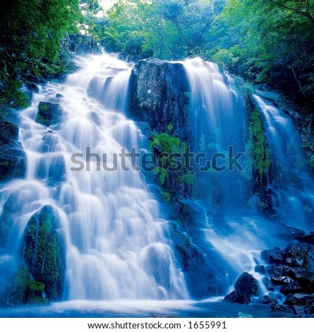 stock images nature. stock photo : Nature Scenery