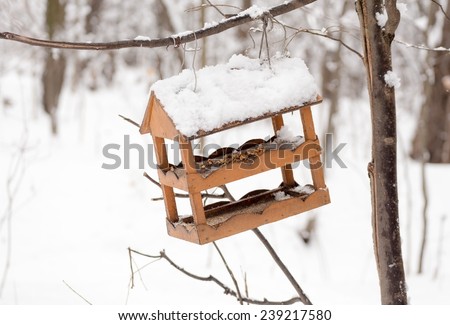 Bird feeders hanging on a tree branch in winter forest.