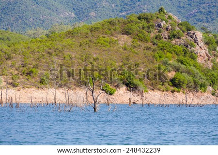 Flooded dry trees in a mountain lake in Sardinia, Italy