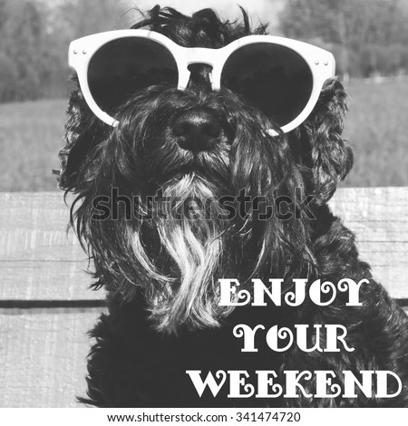 Dog in sunglasses with text: Enjoy your weekend