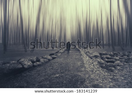 man walking on a path in a strange dark forest ,shadow man in forest ,motion blur forest ,man  silhouette unusual