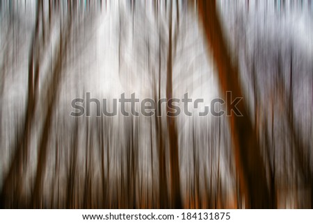 abstract forest in autumn time,motion blur,forest background