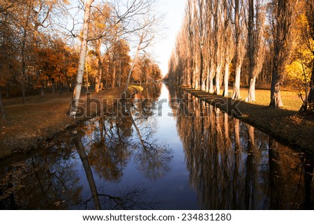 autumn forest with river,trees reflection in water