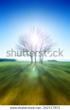 sun ray through tree, silhouette tree with sunset ,happy spring summer background,abstract natural background,