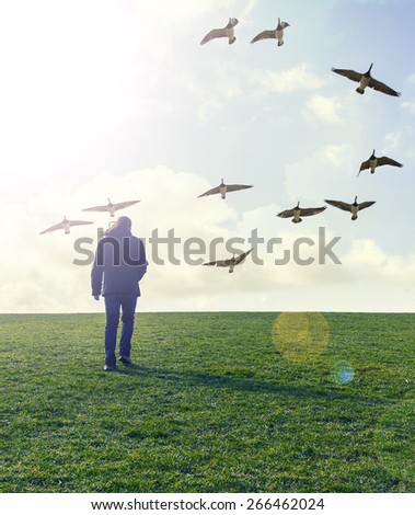 Silhouette of young man walking on green field under sunset skies and bird flying above ,freedom  concept,lonely