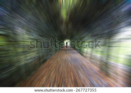man walking on the forest path,green speed blurred  background