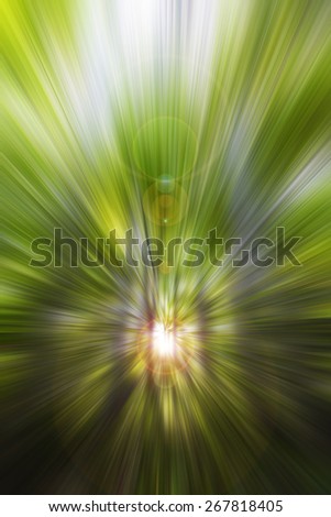sun rays in forest,sun beams in green forest,abstract green background