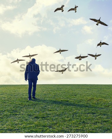 Silhouette of young man walking on green field under sunset skies and bird flying above ,freedom concept,open hands and happiness