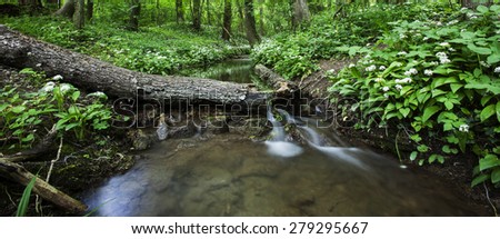 stream in green forest,clean water and spring green forest,nature background