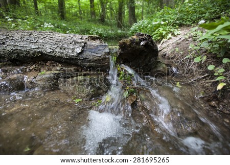 stream in green forest,clean water and spring green forest,nature background