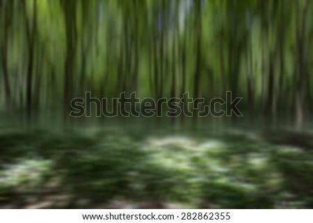 green forest in spring time,natural abstract  forest background