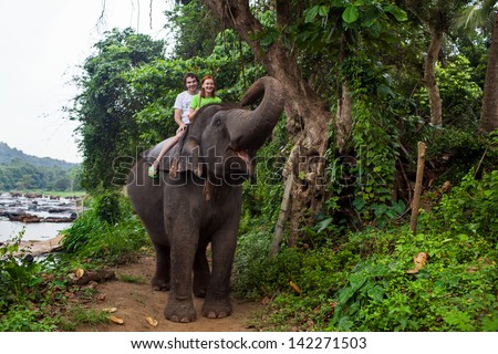 Young Couple Tourists To Ride On An Elephant In Pinnewala, Sri Lanka.