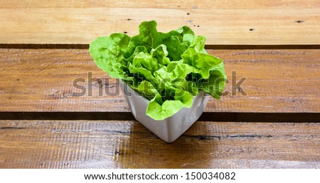 deco green vegetable lettuce in cup on wood table