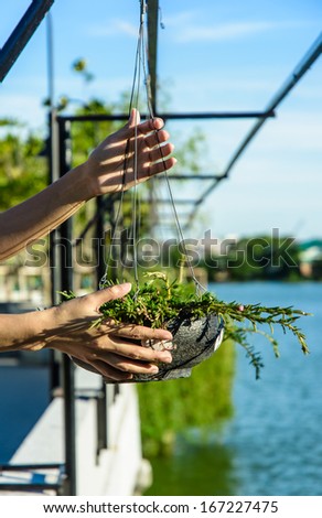 asia girl hand hold plant in black baked clay hang on steel wire in lake view park