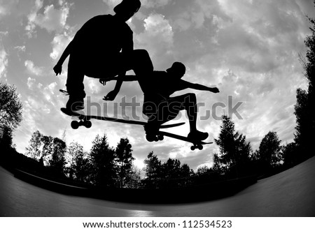 Two Skateboarders