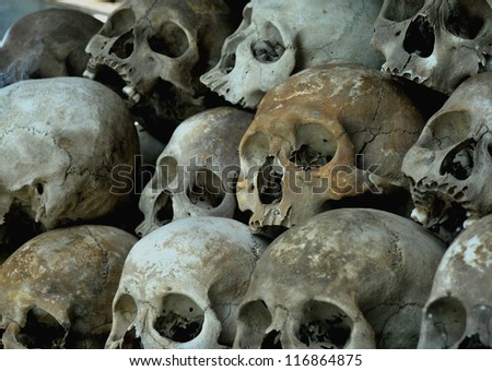 pile of human skulls