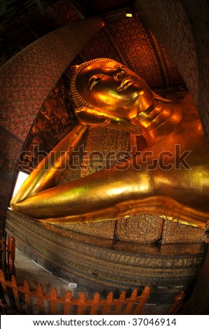 Reclining buddha within the Wat Pho (also named wat po) in Bangkok, Thailand.  The gold plated reclining Buddha is over 45 meters long and 15 meters high.