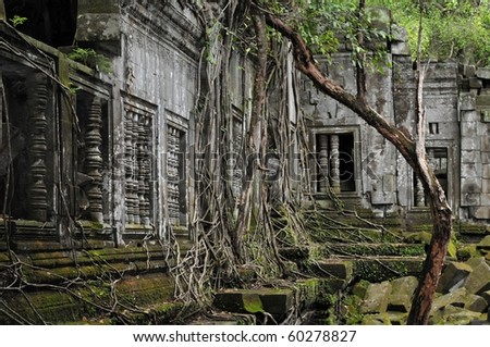 the hidden jungle temple be ngn maelea near angor wat in siem reap,cambodia is one of the most fascinating places on planet earth.