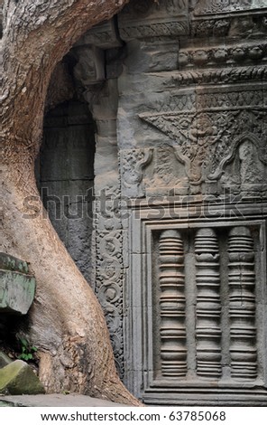 detail of thehidden jungle temple ta prohm near angkor wat in siem reap,cambodia is one of the most fascinating places on planet earth.