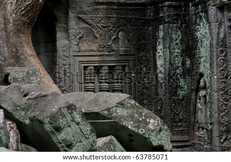 detail of thehidden jungle temple ta prohm near angkor wat in siem reap,cambodia is one of the most fascinating places on planet earth.