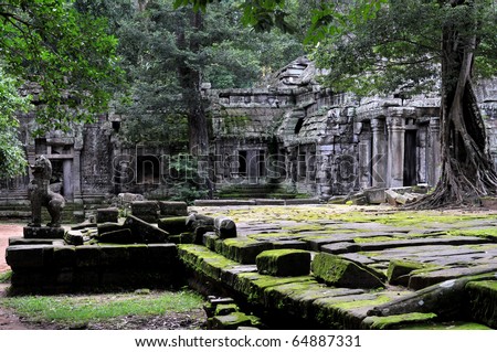 the hidden jungle temple ta prohm near angkor wat in siem reap,cambodia is one of the most fascinating places on planet earth.